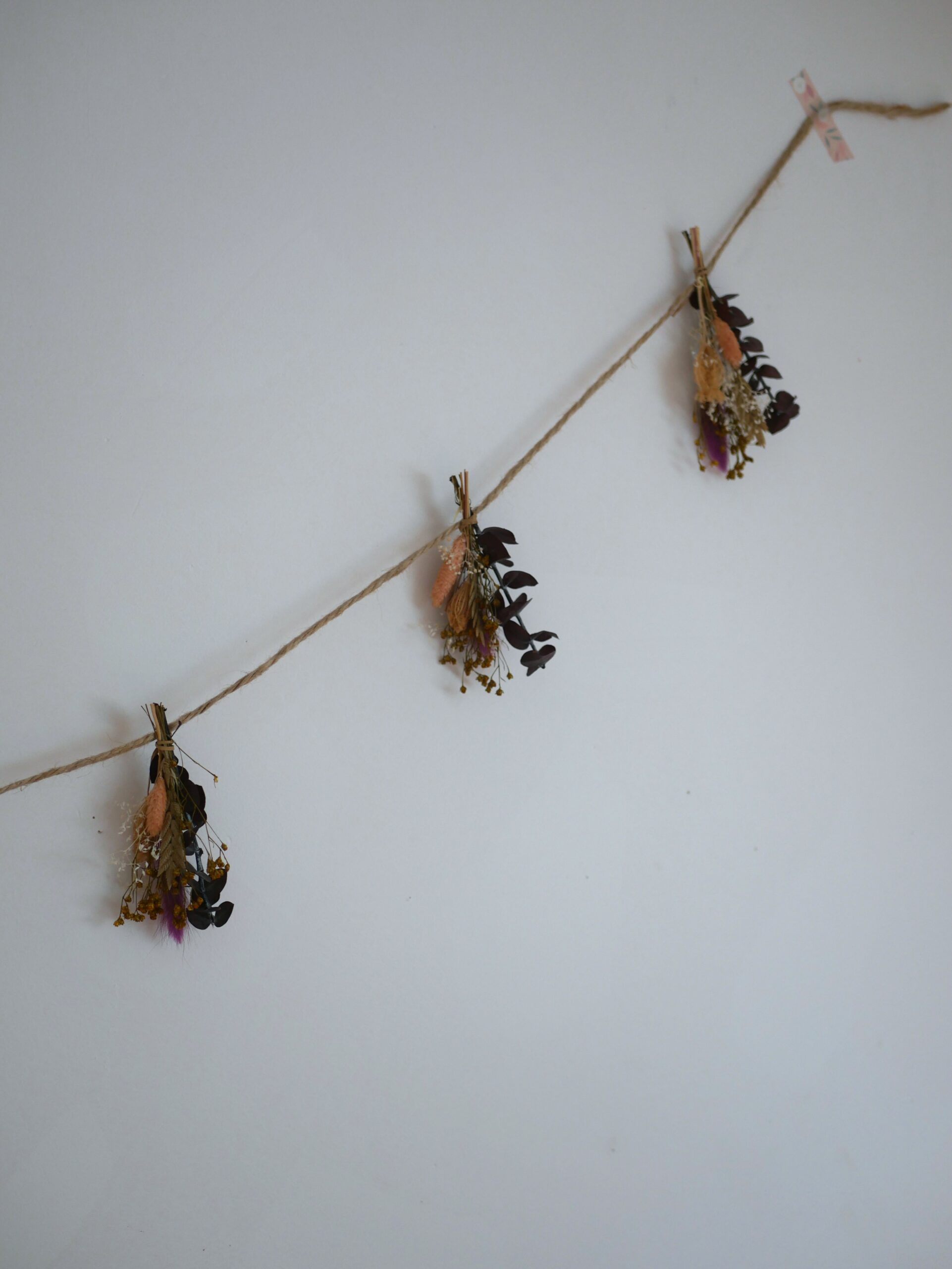 Guirlande - La timide