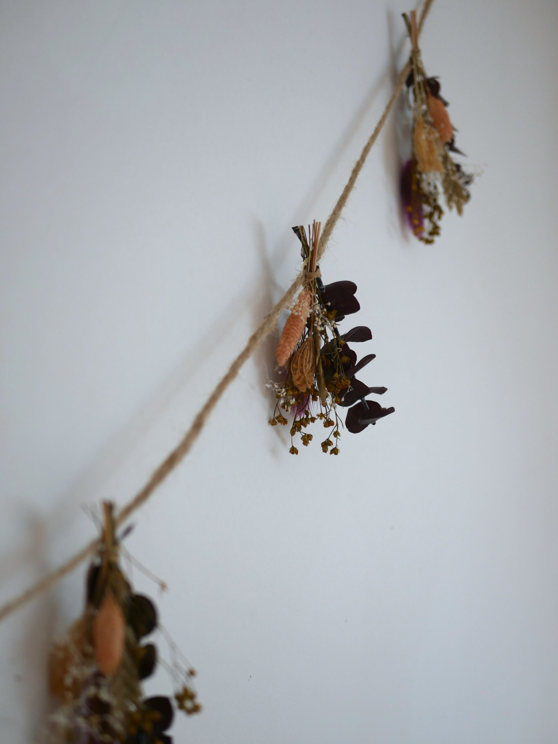 Guirlande - La timide