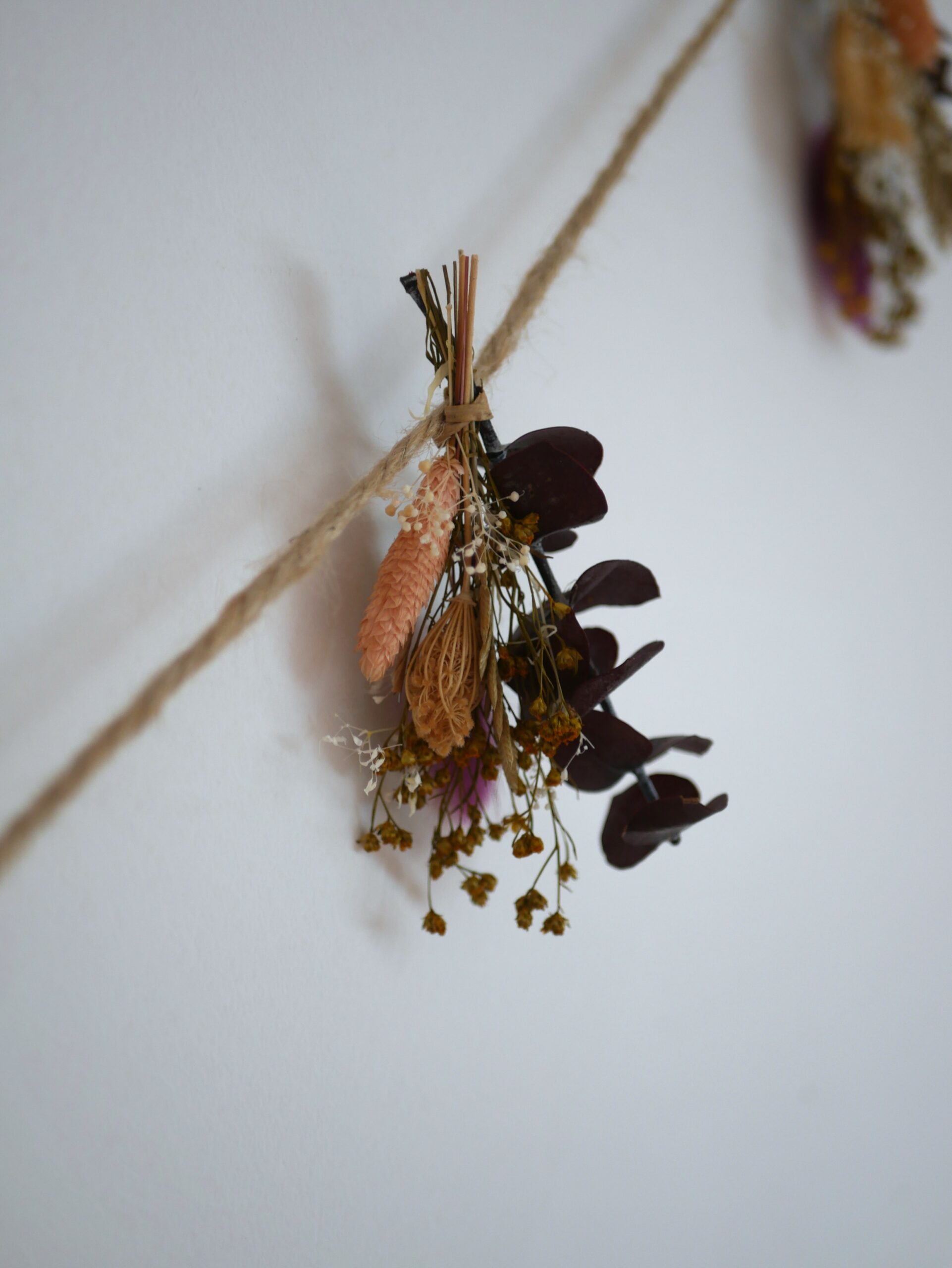 Guirlande - La timide