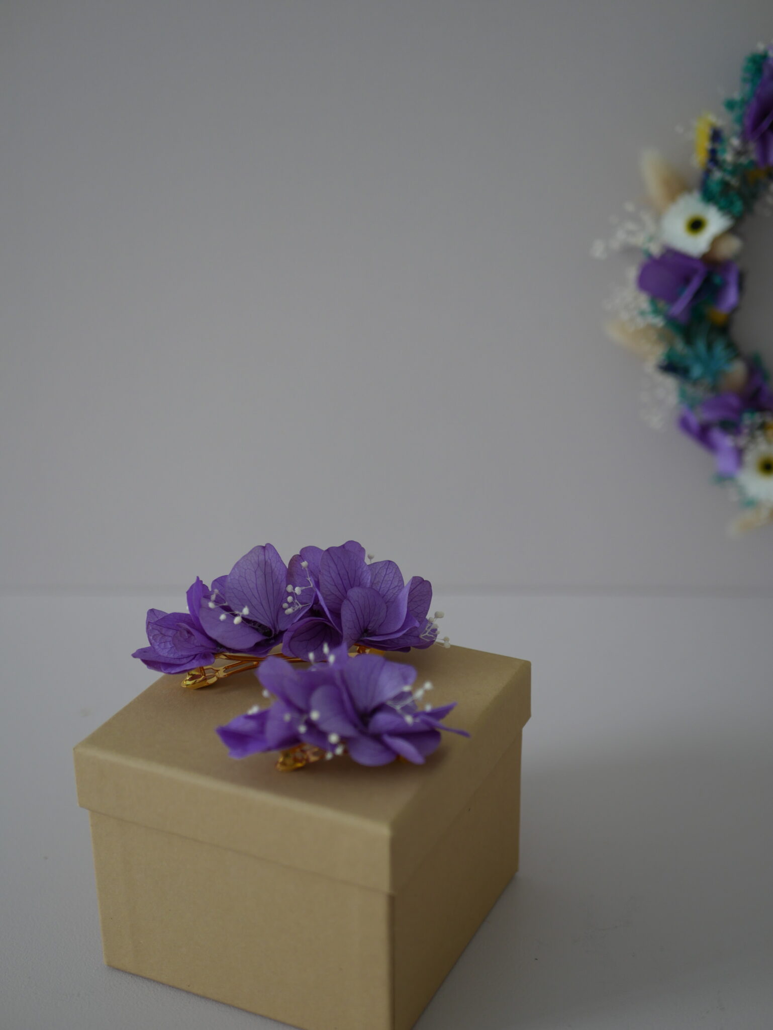 Barrette - L'intrépide