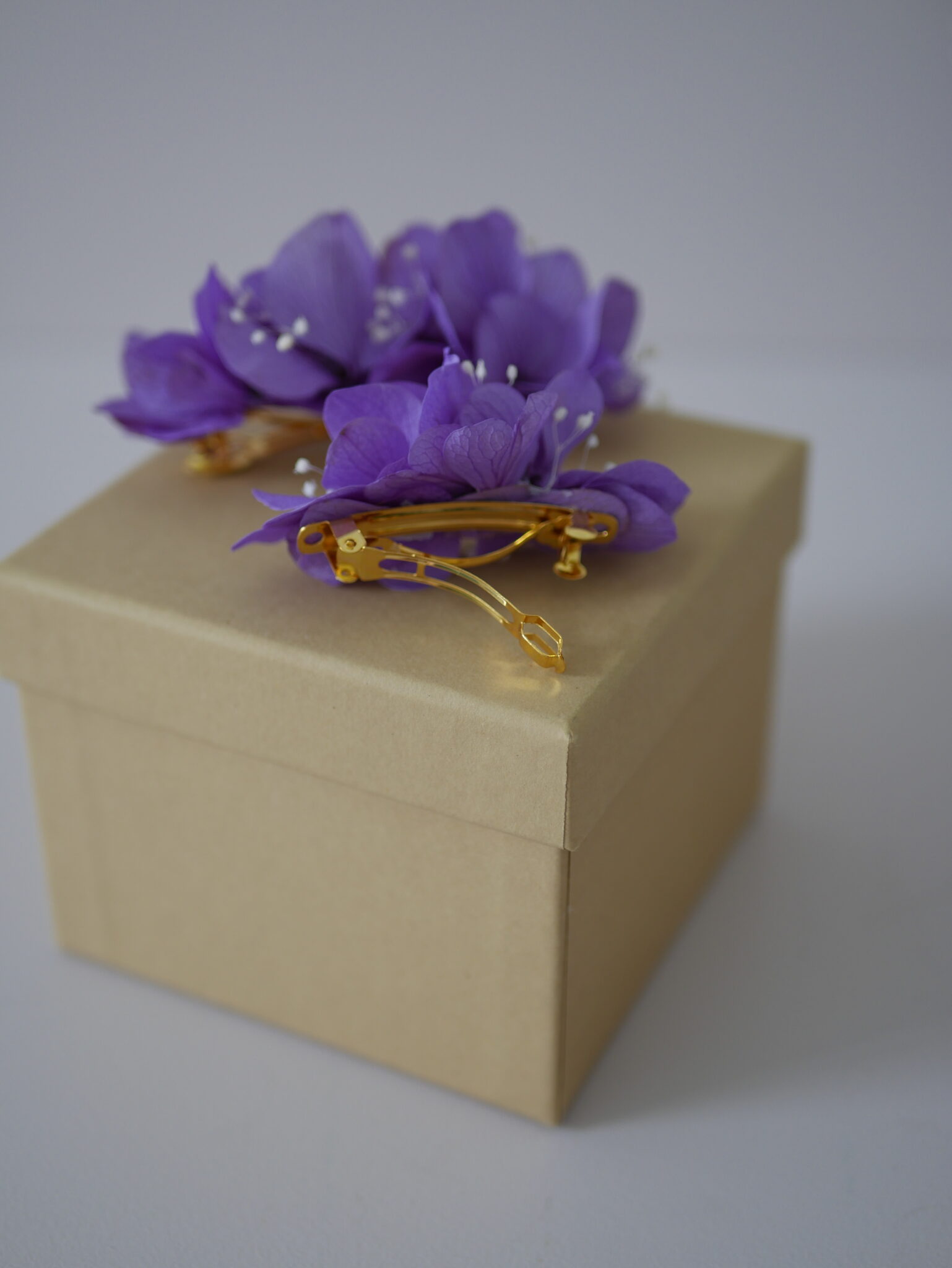 Barrette - L'intrépide