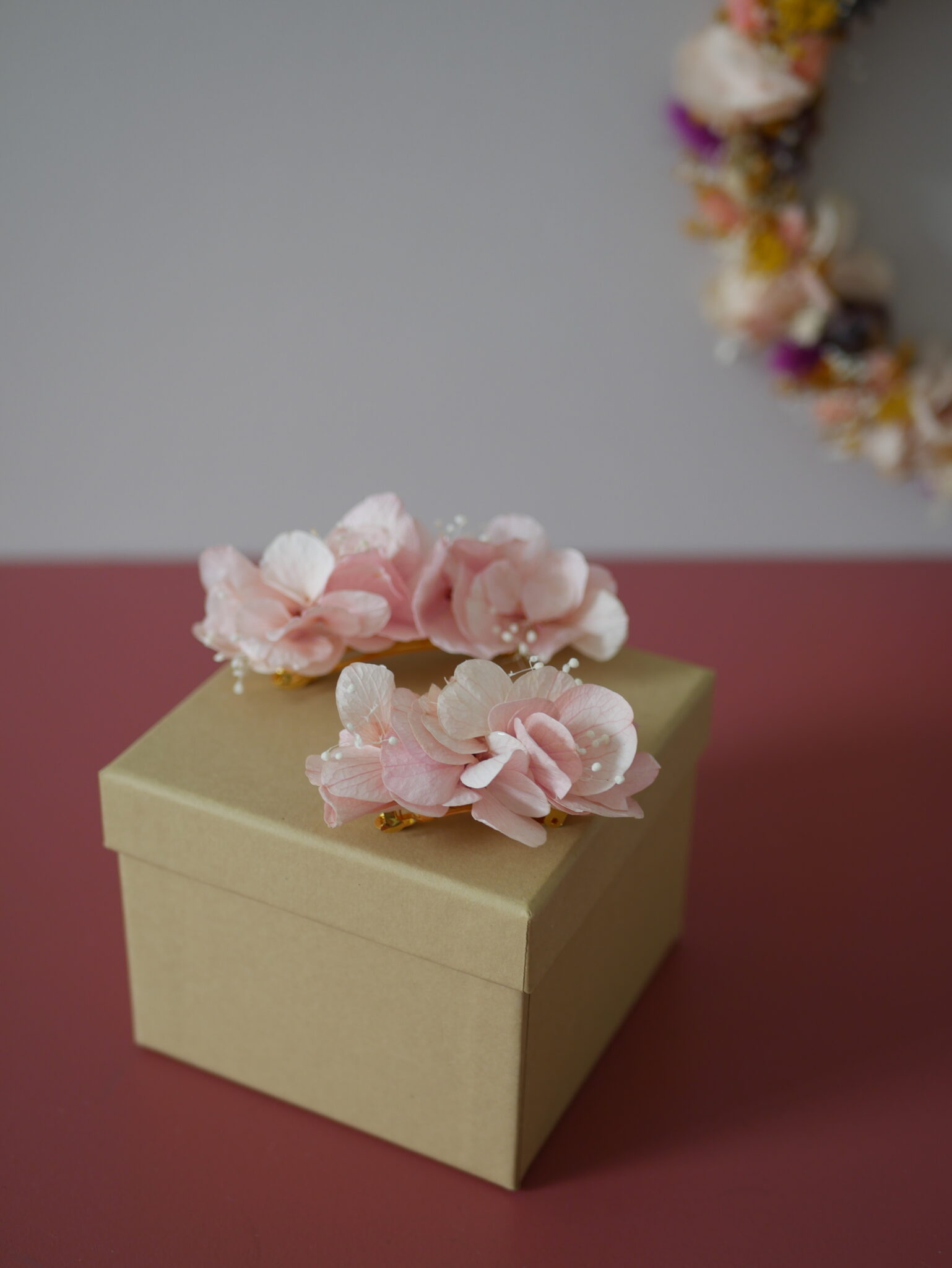 Barrette - La timide