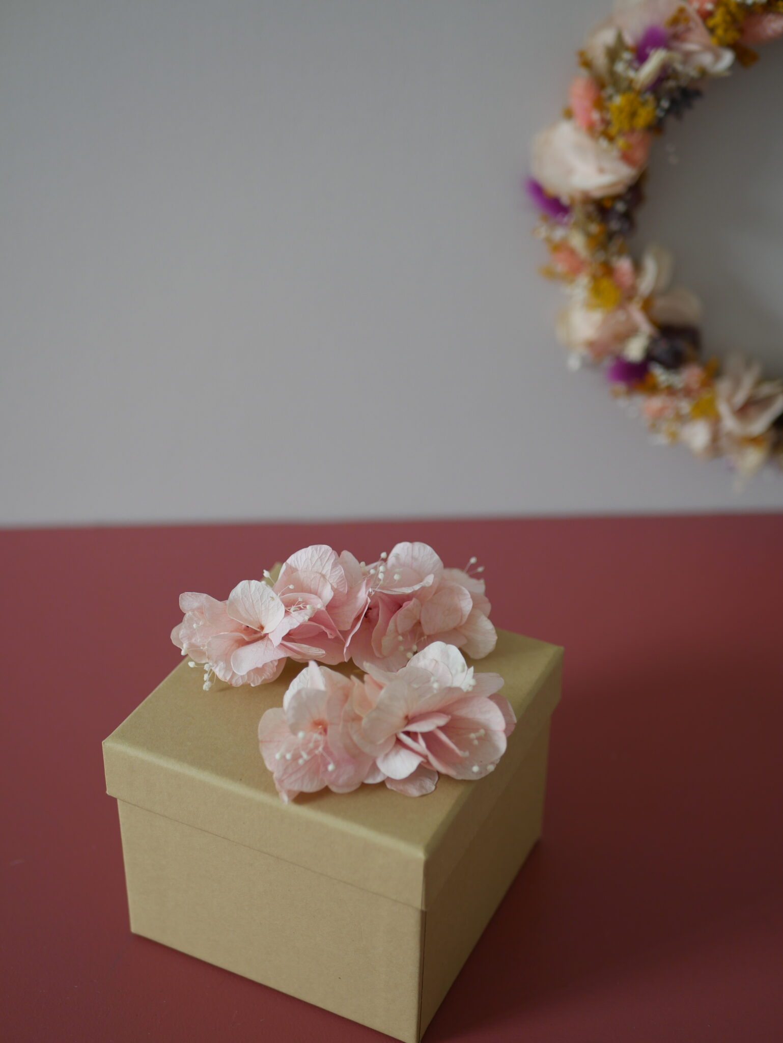 Barrette - La timide