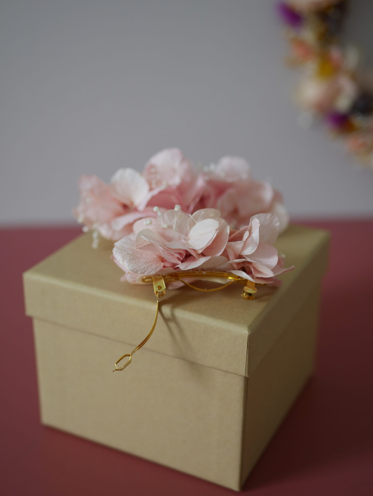 Barrette - La timide