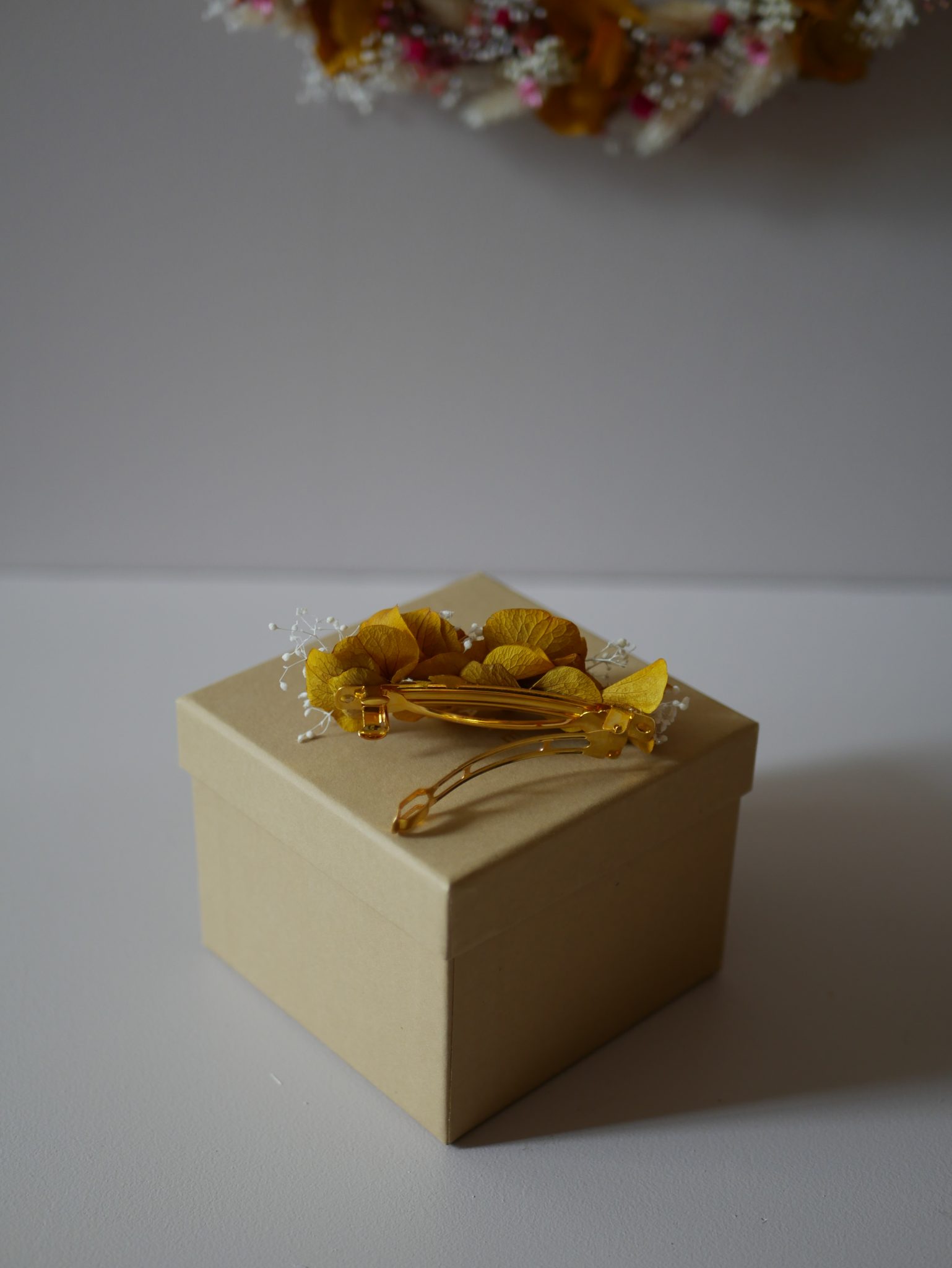 Barrette - La pétillante