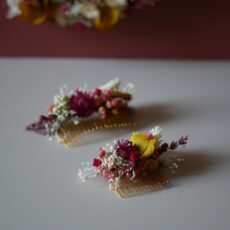 Peigne - La pétillante